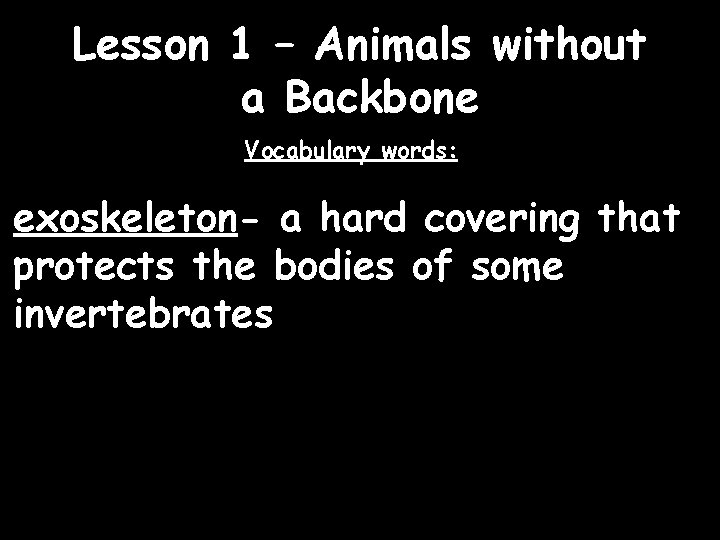 animal without a backbone 12 letters