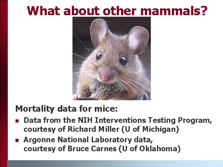 What about other mammals? Mortality data for mice: n n Data from the NIH