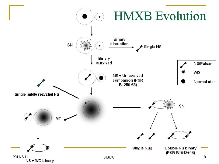 HMXB Evolution Single mildly recycled NS 2011 -5 -11 NAOC 10 