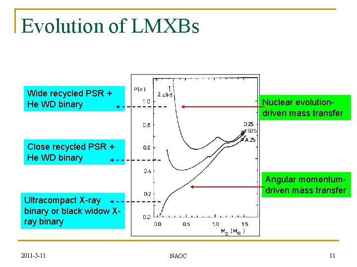 Evolution of LMXBs Wide recycled PSR + He WD binary Nuclear evolutiondriven mass transfer