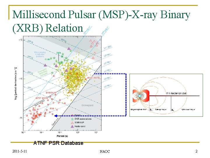 Millisecond Pulsar (MSP)-X-ray Binary (XRB) Relation ATNF PSR Database 2011 -5 -11 NAOC 2