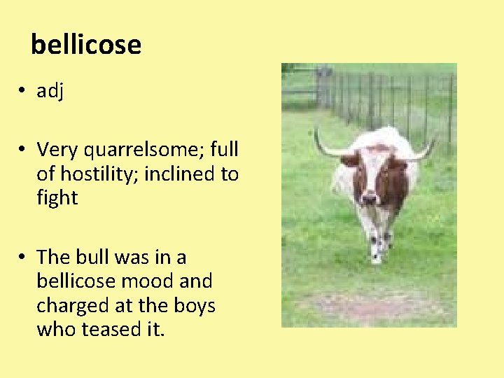 bellicose • adj • Very quarrelsome; full of hostility; inclined to fight • The
