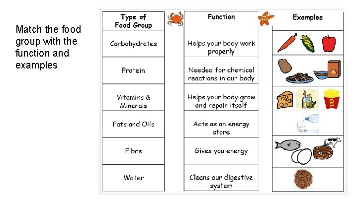 Match the food group with the function and examples 