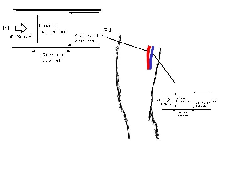 P 1 (P 1 -P 2) x. P r 2 Basınç kuvvetleri Akışkanlık gerilimi