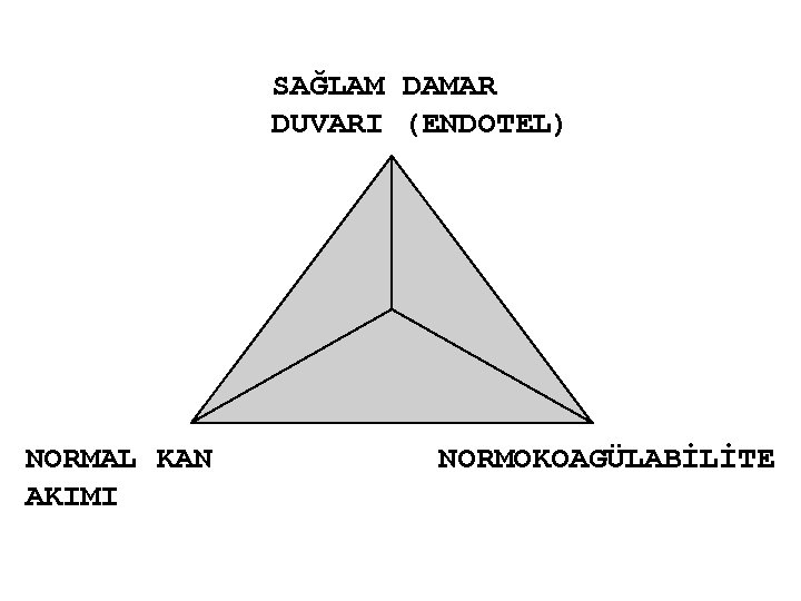 SAĞLAM DAMAR DUVARI (ENDOTEL) NORMAL KAN AKIMI NORMOKOAGÜLABİLİTE 