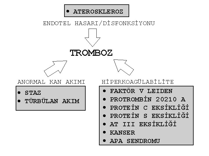  ATEROSKLEROZ ENDOTEL HASARI/DİSFONKSİYONU TROMBOZ ANORMAL KAN AKIMI STAZ TÜRBÜLAN AKIM HİPERKOAGÜLABİLİTE FAKTÖR V