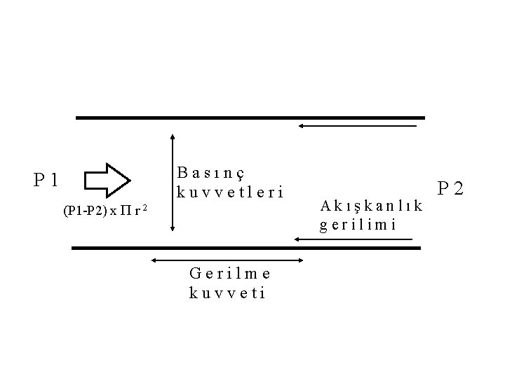 P 1 (P 1 -P 2) x P r 2 Basınç kuvvetleri Gerilme kuvveti