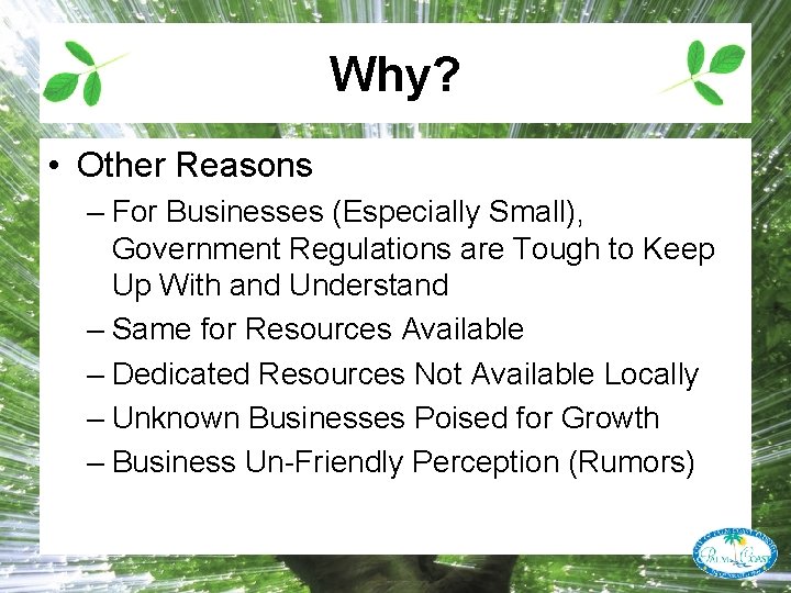 Why? • Other Reasons – For Businesses (Especially Small), Government Regulations are Tough to