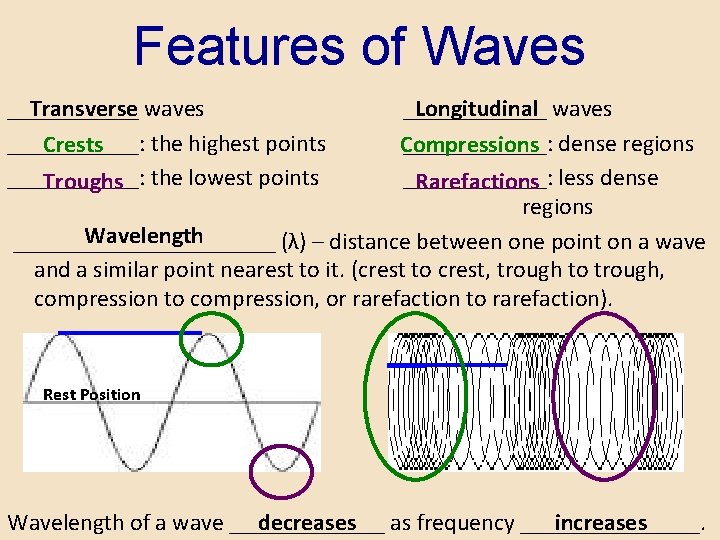 Features of Waves ______ Transverse waves ______: the highest points Crests ______: Troughs the