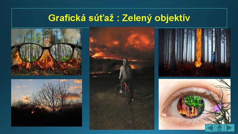 Grafická súťaž : Zelený objektív 