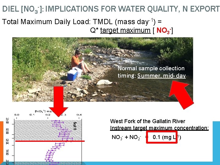 DIEL [NO 3 -]: IMPLICATIONS FOR WATER QUALITY, N EXPORT Total Maximum Daily Load: