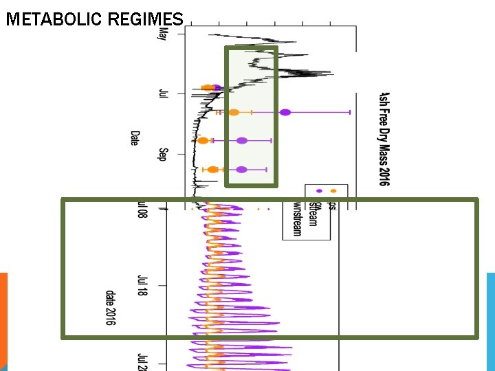 METABOLIC REGIMES 