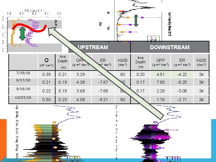 UPSTREAM Q (m 3 7/20/16 8/17/16 9/16/16 10/27/16 sec-1) Ave Depth (m) DOWNSTREAM GPP