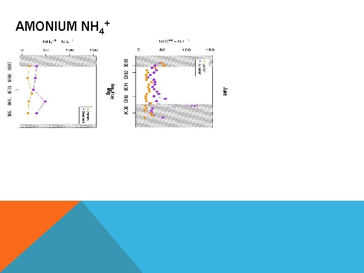 AMONIUM NH 4+ 