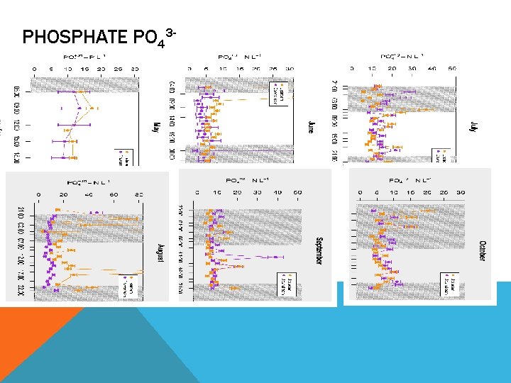 PHOSPHATE PO 43 - 