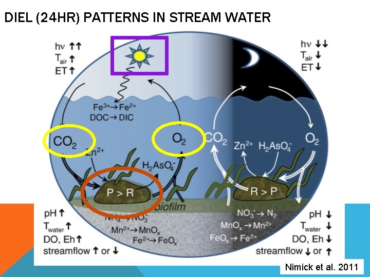 DIEL (24 HR) PATTERNS IN STREAM WATER Nimick et al. 2011 