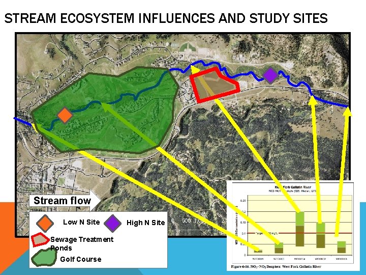 STREAM ECOSYSTEM INFLUENCES AND STUDY SITES Stream flow Low N Site Sewage Treatment Ponds