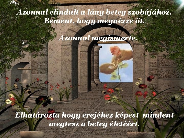 Azonnal elindult a lány beteg szobájához. Bement, hogy megnézze őt. Azonnal megismerte. Elhatározta hogy