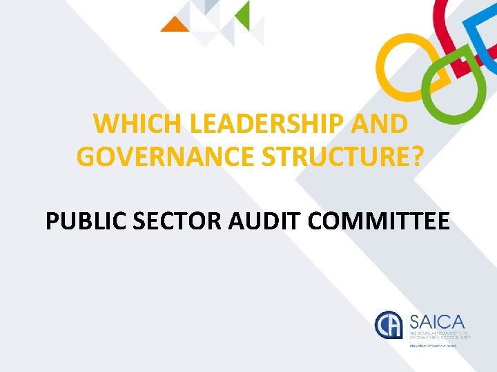 WHICH LEADERSHIP AND GOVERNANCE STRUCTURE? PUBLIC SECTOR AUDIT COMMITTEE 