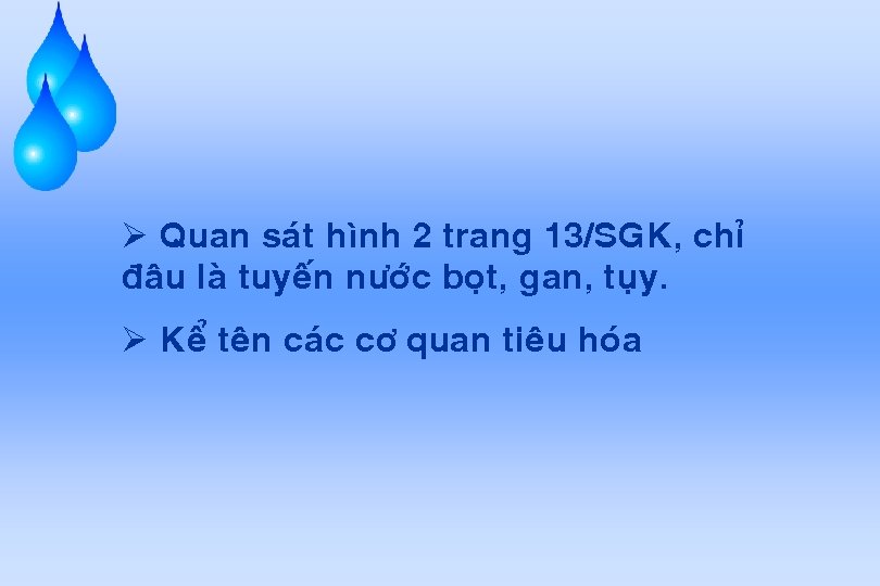 Ø Quan saùt hình 2 trang 13/SGK, chæ ñaâu laø tuyeán nöôùc boït, gan,