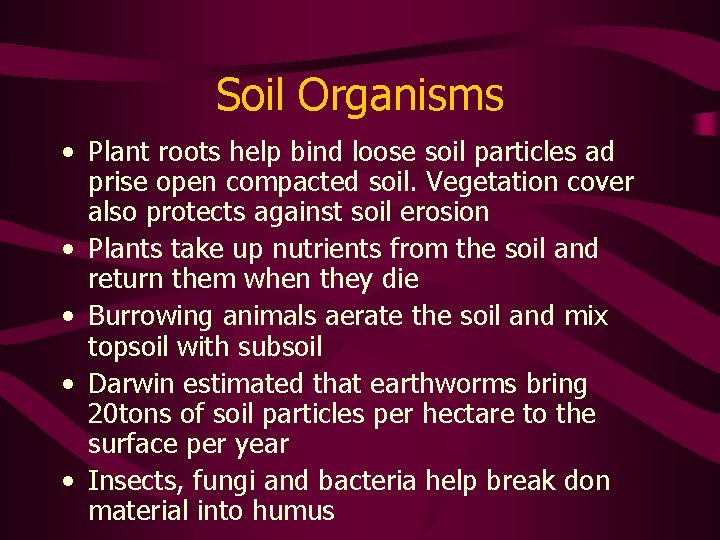 Soil Organisms • Plant roots help bind loose soil particles ad prise open compacted