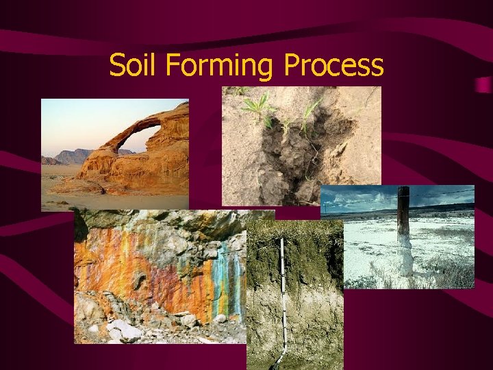 Soil Forming Process 