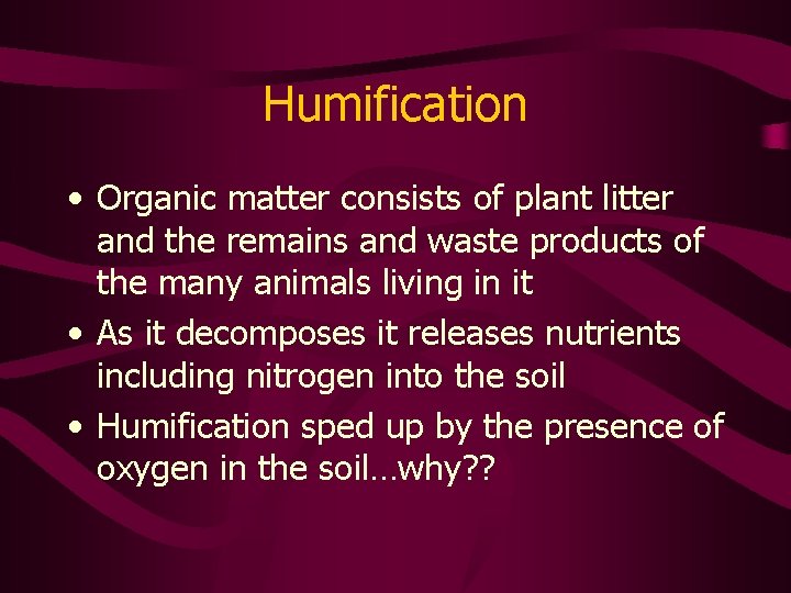 Humification • Organic matter consists of plant litter and the remains and waste products