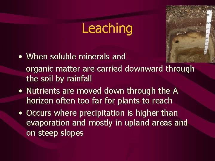 Leaching • When soluble minerals and organic matter are carried downward through the soil