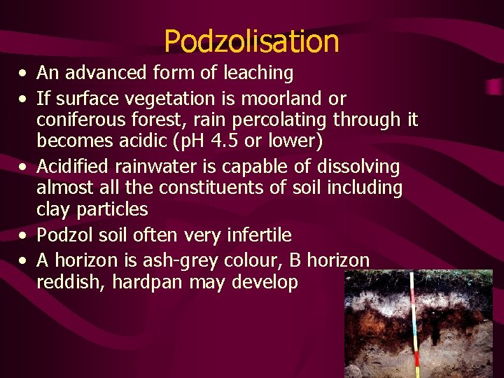 Podzolisation • An advanced form of leaching • If surface vegetation is moorland or