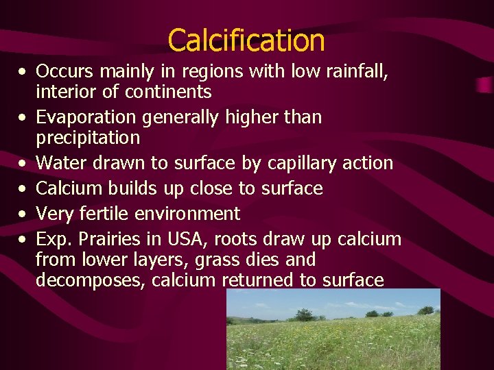 Calcification • Occurs mainly in regions with low rainfall, interior of continents • Evaporation