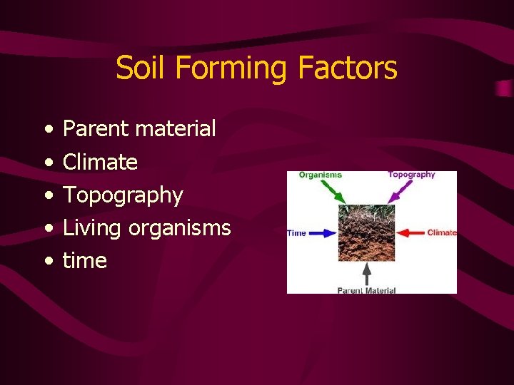 Soil Forming Factors • • • Parent material Climate Topography Living organisms time 