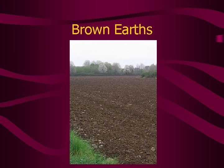 Brown Earths 