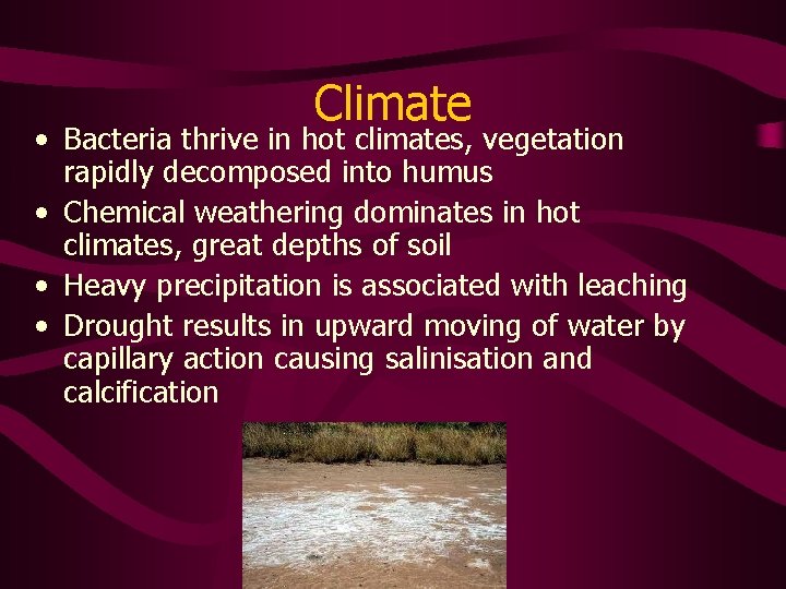 Climate • Bacteria thrive in hot climates, vegetation rapidly decomposed into humus • Chemical