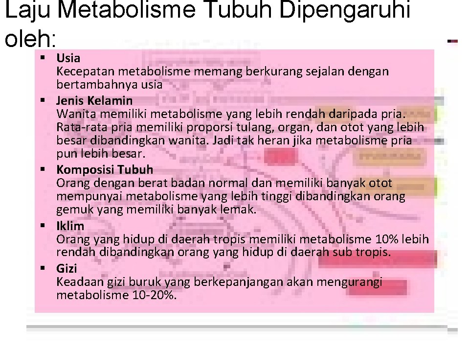 Laju Metabolisme Tubuh Dipengaruhi oleh: § Usia Kecepatan metabolisme memang berkurang sejalan dengan bertambahnya