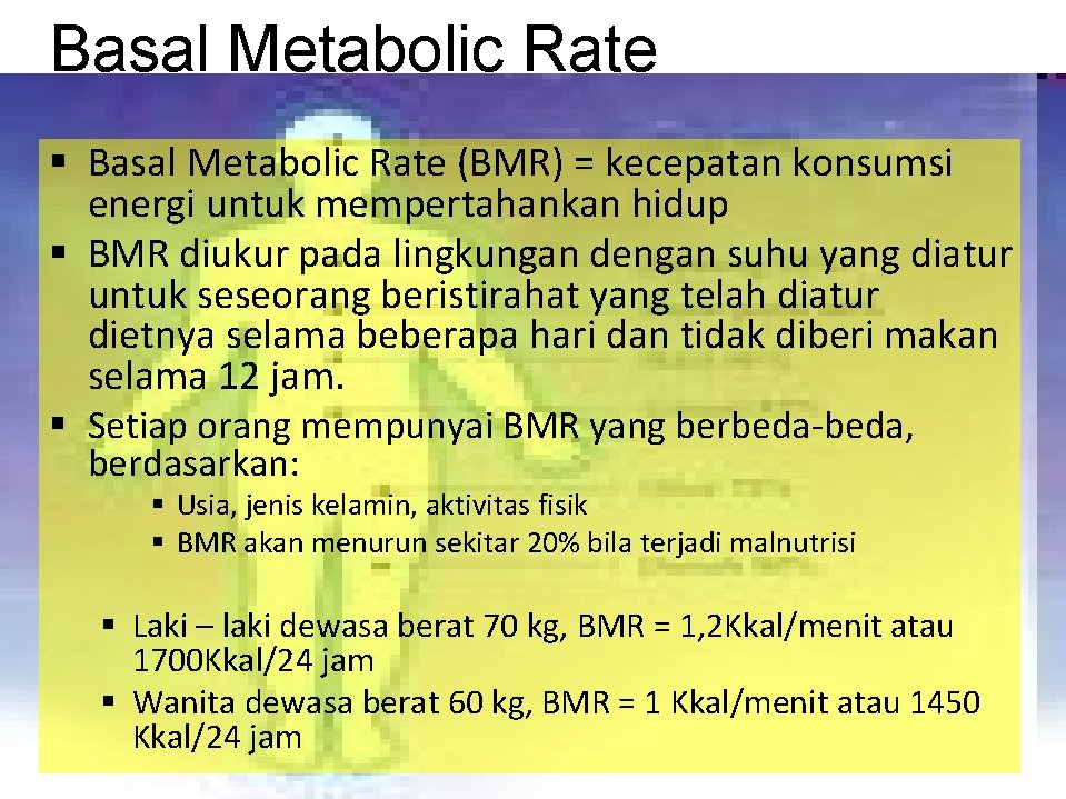 Basal Metabolic Rate § Basal Metabolic Rate (BMR) = kecepatan konsumsi energi untuk mempertahankan