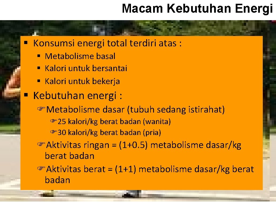 Macam Kebutuhan Energi § Konsumsi energi total terdiri atas : § Metabolisme basal §