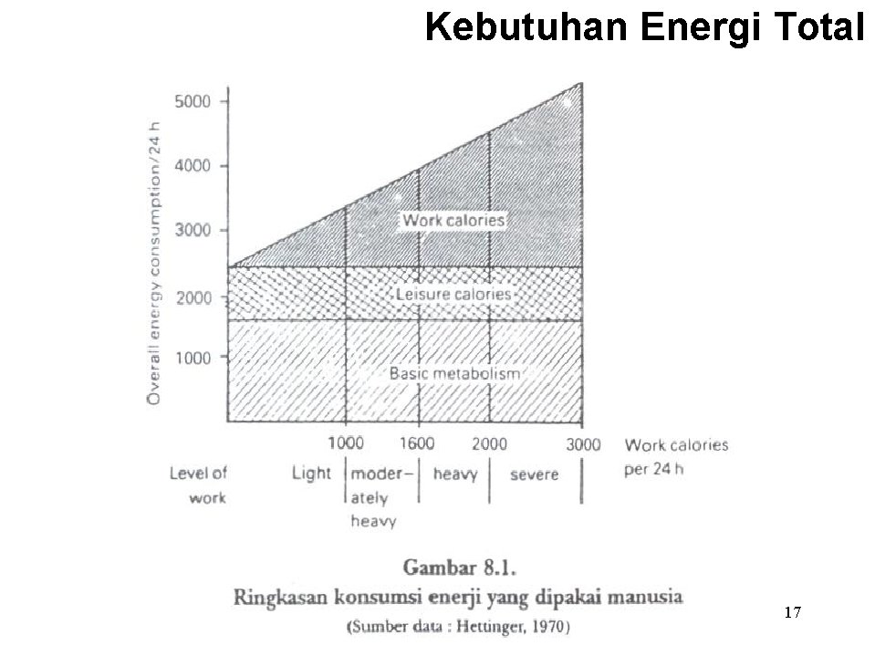 Kebutuhan Energi Total 17 