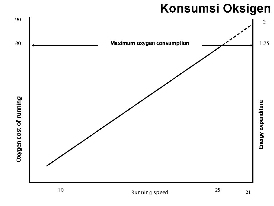 Konsumsi Oksigen 90 2 Maximum oxygen consumption 1. 75 Energy expenditure Oxygen cost of