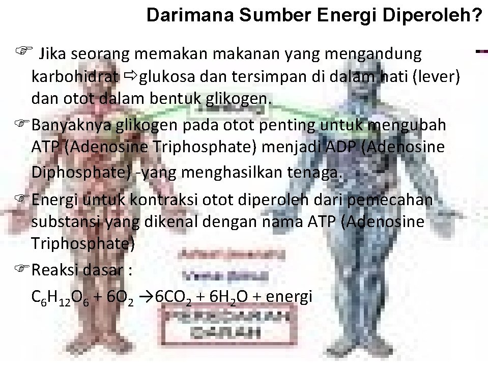 Darimana Sumber Energi Diperoleh? Jika seorang memakanan yang mengandung karbohidrat glukosa dan tersimpan di
