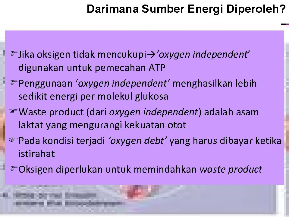 Darimana Sumber Energi Diperoleh? Jika oksigen tidak mencukupi→’oxygen independent’ digunakan untuk pemecahan ATP Penggunaan