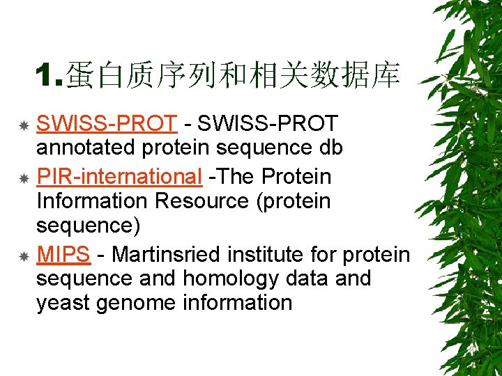 1. 蛋白质序列和相关数据库 SWISS-PROT - SWISS-PROT annotated protein sequence db PIR-international -The Protein Information Resource