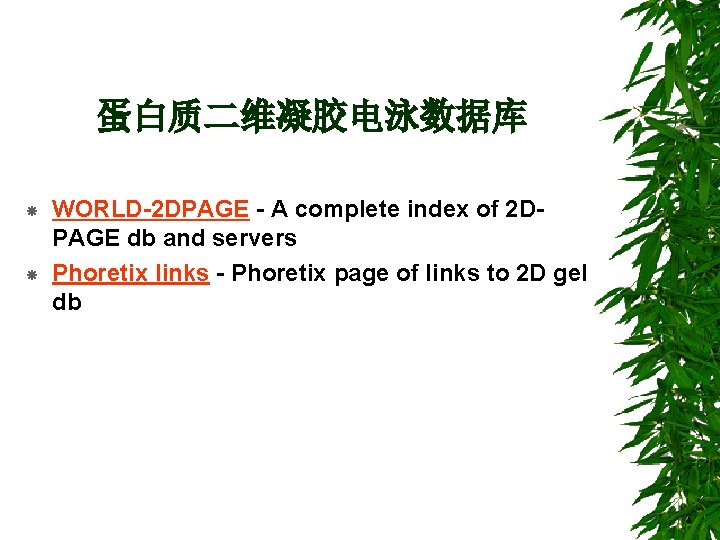 蛋白质二维凝胶电泳数据库 WORLD-2 DPAGE - A complete index of 2 DPAGE db and servers Phoretix