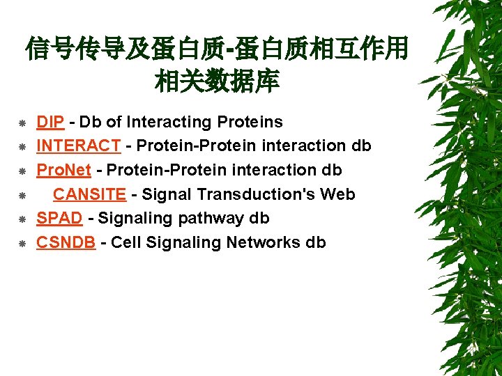 信号传导及蛋白质-蛋白质相互作用 相关数据库 DIP - Db of Interacting Proteins INTERACT - Protein-Protein interaction db Pro.