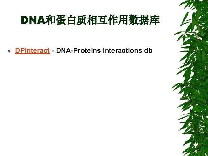 DNA和蛋白质相互作用数据库 DPInteract - DNA-Proteins interactions db 