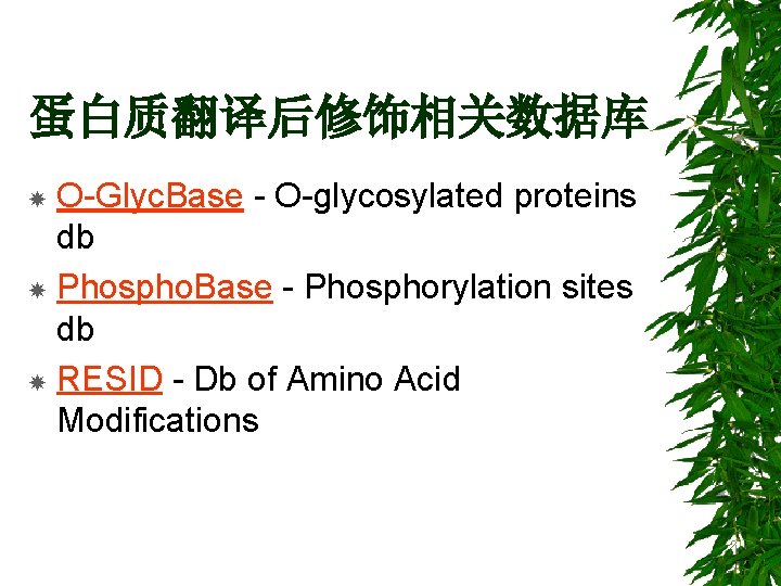 蛋白质翻译后修饰相关数据库 O-Glyc. Base - O-glycosylated proteins db Phospho. Base - Phosphorylation sites db RESID