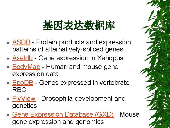 基因表达数据库 ASDB - Protein products and expression patterns of alternatively-spliced genes Axeldb - Gene
