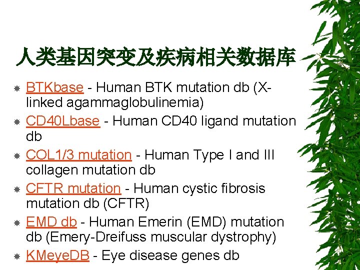 人类基因突变及疾病相关数据库 BTKbase - Human BTK mutation db (Xlinked agammaglobulinemia) CD 40 Lbase - Human