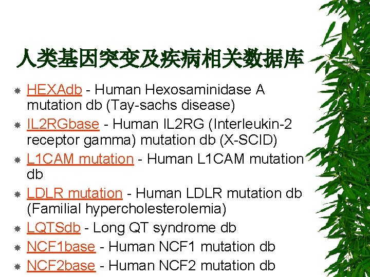 人类基因突变及疾病相关数据库 HEXAdb - Human Hexosaminidase A mutation db (Tay-sachs disease) IL 2 RGbase -