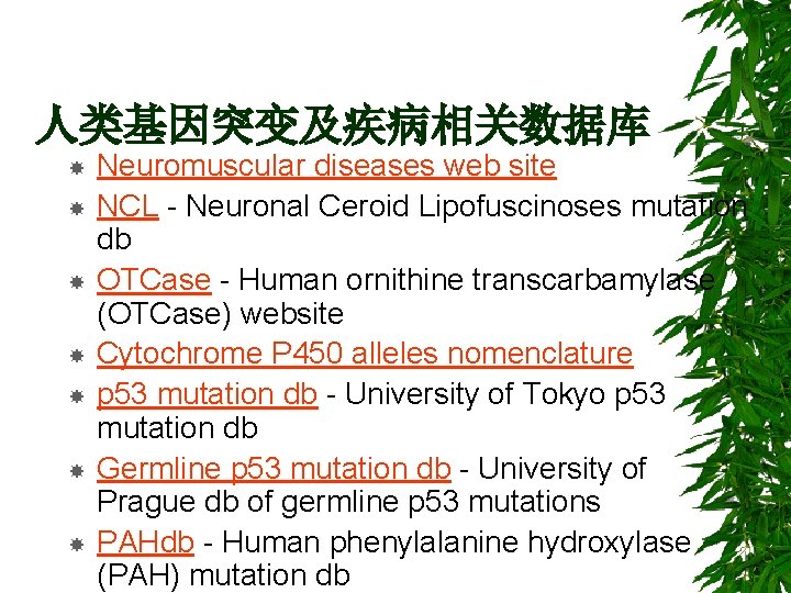 人类基因突变及疾病相关数据库 Neuromuscular diseases web site NCL - Neuronal Ceroid Lipofuscinoses mutation db OTCase -