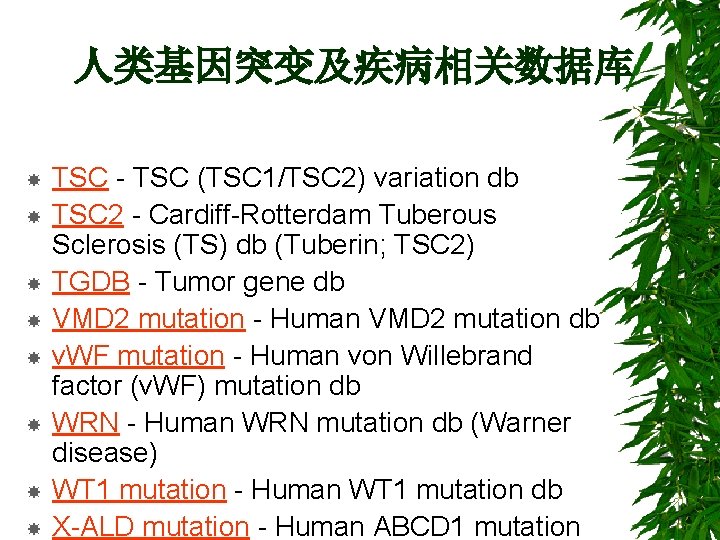 人类基因突变及疾病相关数据库 TSC - TSC (TSC 1/TSC 2) variation db TSC 2 - Cardiff-Rotterdam Tuberous